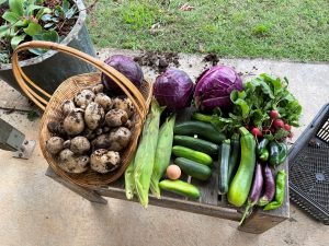 Selection of fresh vegetables in a basket